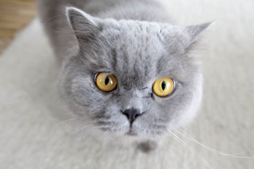 Dom na Kabatach. Styl nowoczesny, fototapeta, biel, aranżacje domu, urządzanie domu, wystrój wnętrz, projektowanie wnętrz