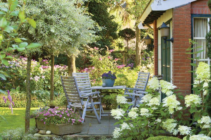 Ogród w Holandii: trochę w cieniu, trochę w słońcu