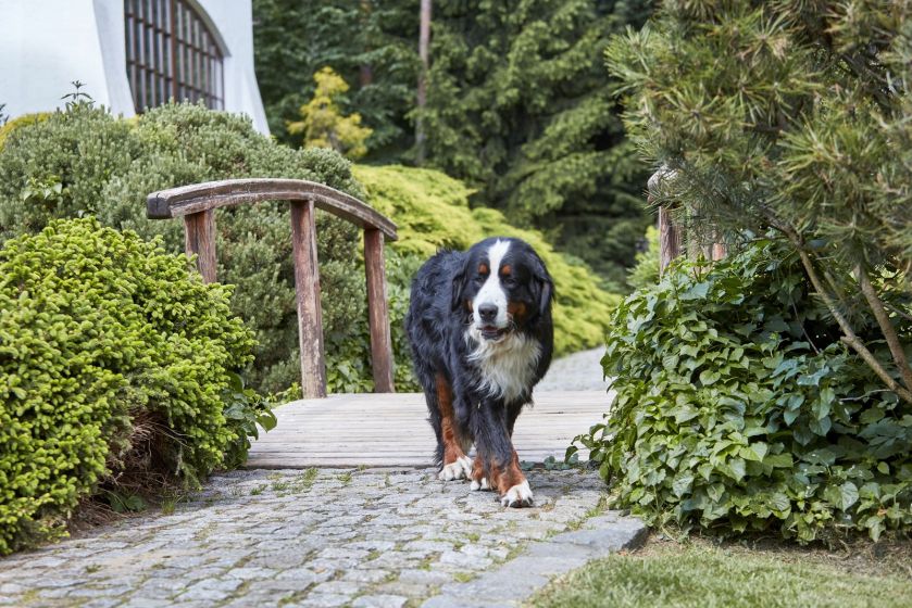 Małgosia i Marek zakochali się w nastrojowych rezydencjach winiarzy we Włoszech i Francji. Podobny dom