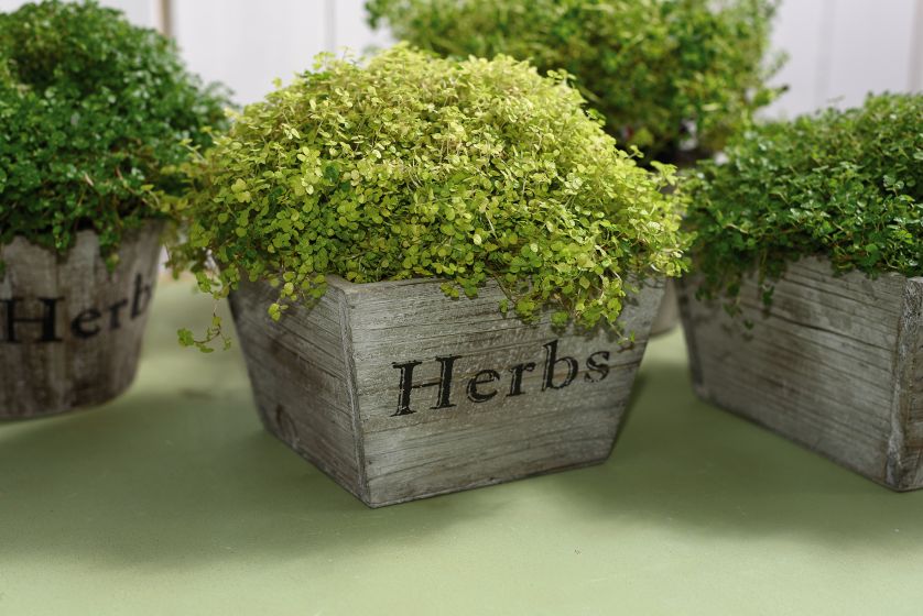 Drewniane osłonki w prowansalskim stylu łączą w sobie swojski, naturalny klimat z modnym minimalizmem i