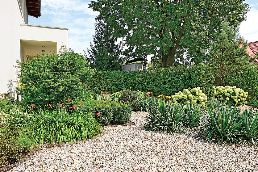 Drzewa i krzewy przyjechały już duże. Kosić trzeba tylko trawnik, wszystko inne rośnie samo jak na drożdżach. Oto ogród