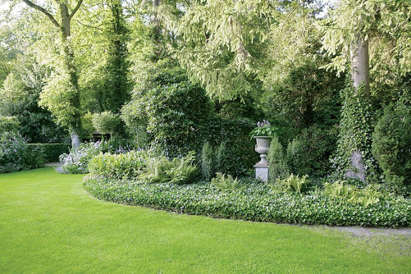 Duma gospodarzy: ogromna polana porośnięta angielskim trawnikiem