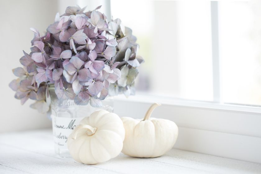 biała dynia pomysły na dekoracje
