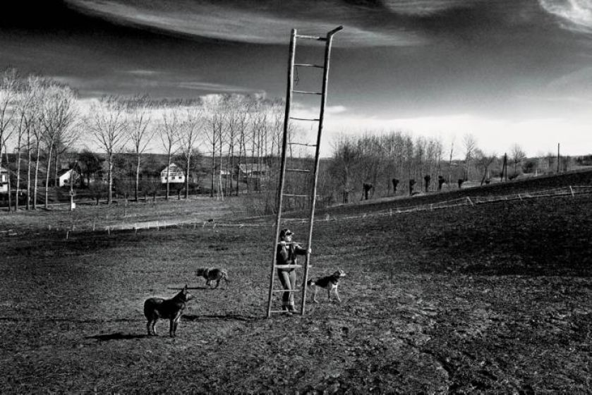 Fotografia Tomasza Tomaszewskiego. Sztuka patrzenia