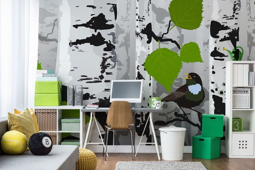 Fototapeta z brzozami, czyli nowe właściwości znanego drzewa