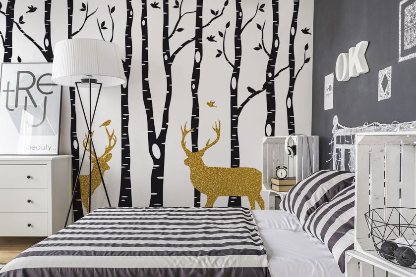 Fototapeta z brzozami, czyli nowe właściwości znanego drzewa