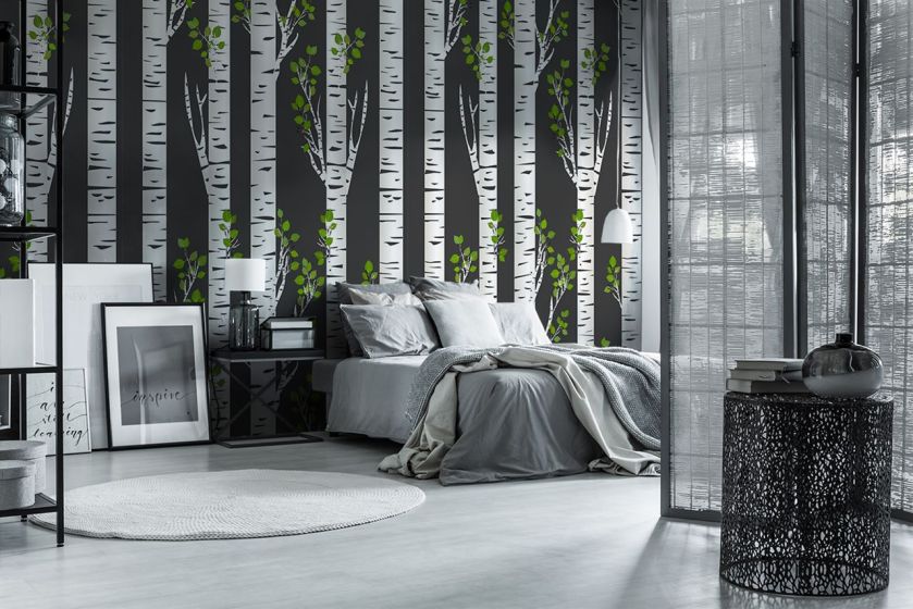 Fototapeta z brzozami, czyli nowe właściwości znanego drzewa