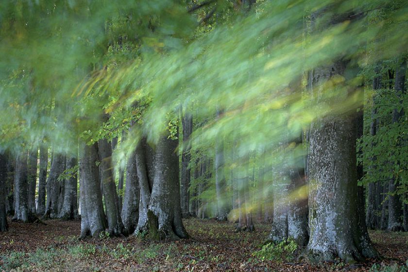 Zdjęcia Marcina Sochy