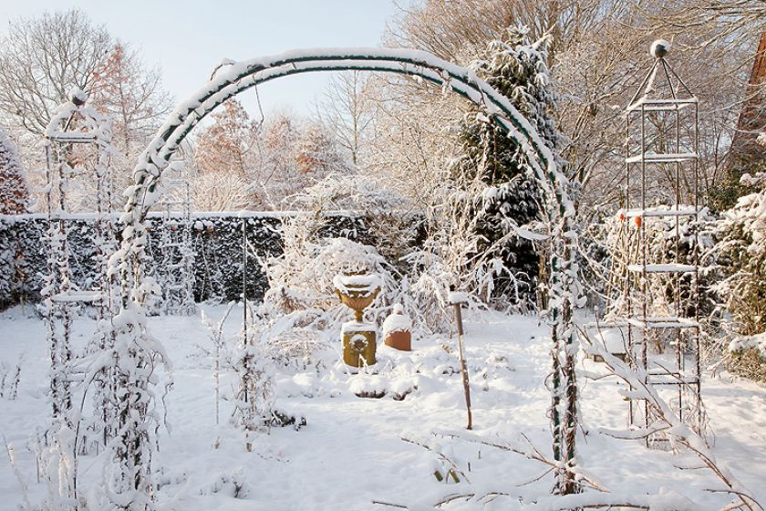 Ogród piękny zimą