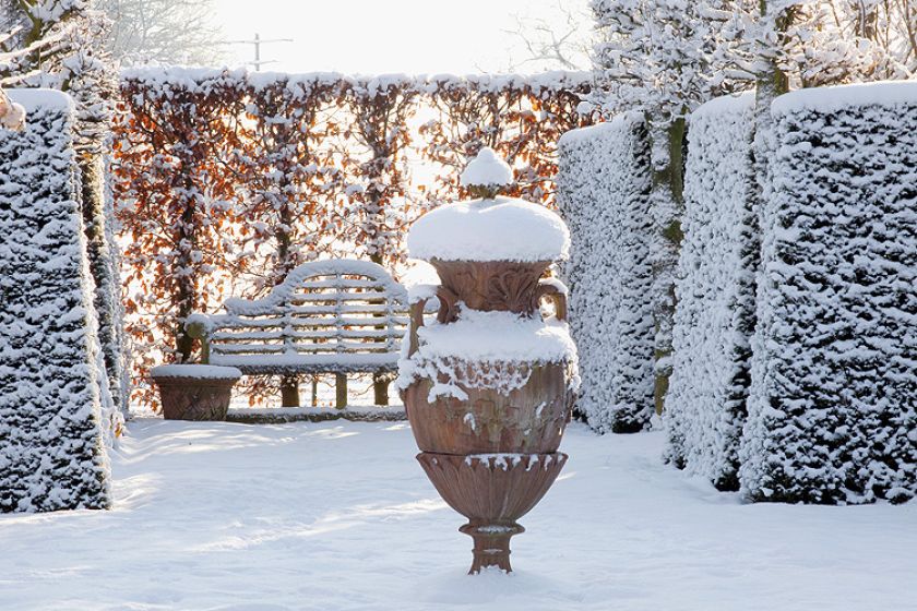 Ogród piękny zimą