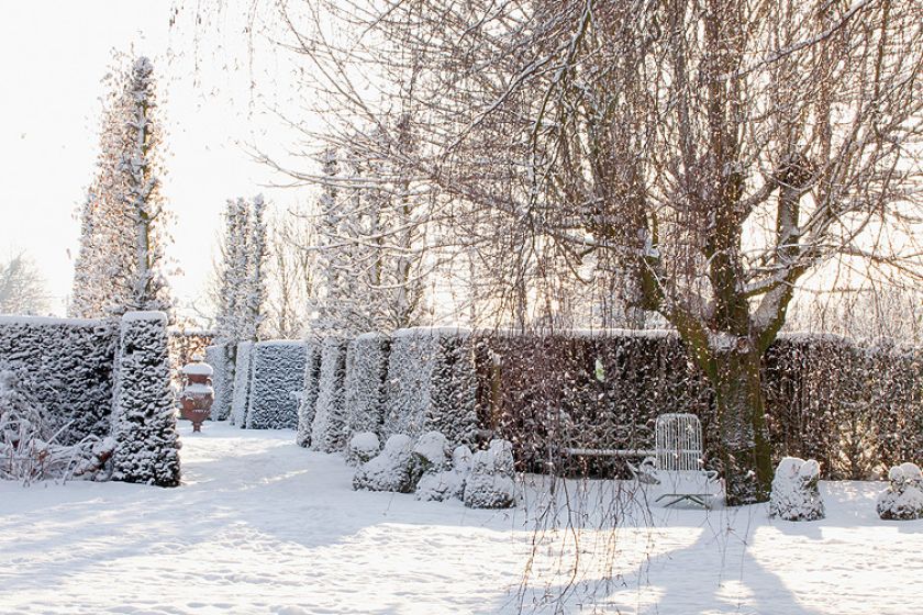 Ogród piękny zimą