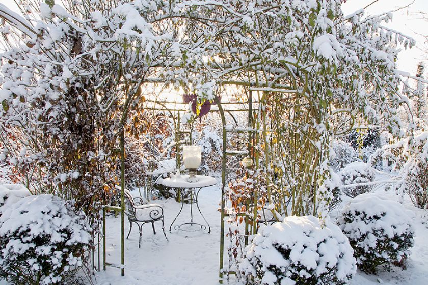 Ogród piękny zimą