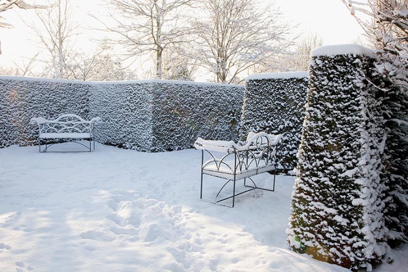 Ogród piękny zimą