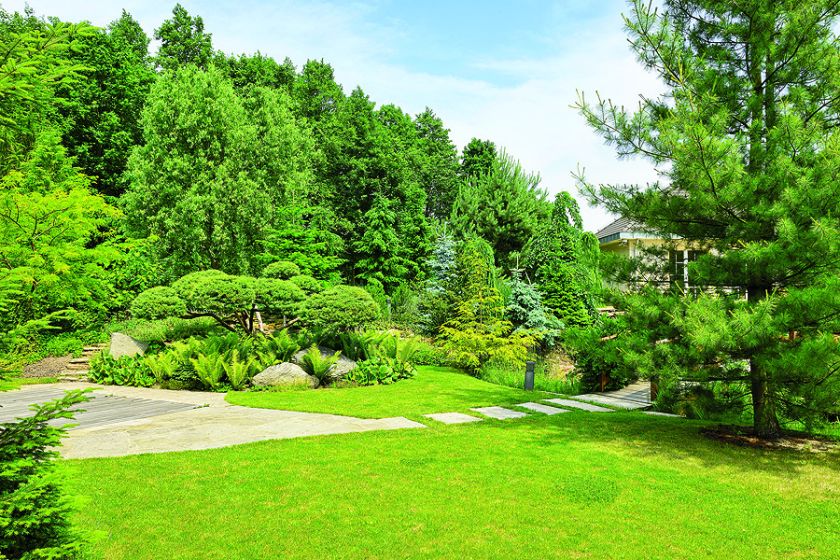 Granitowe ścieżki. Zieleń, kamień i woda