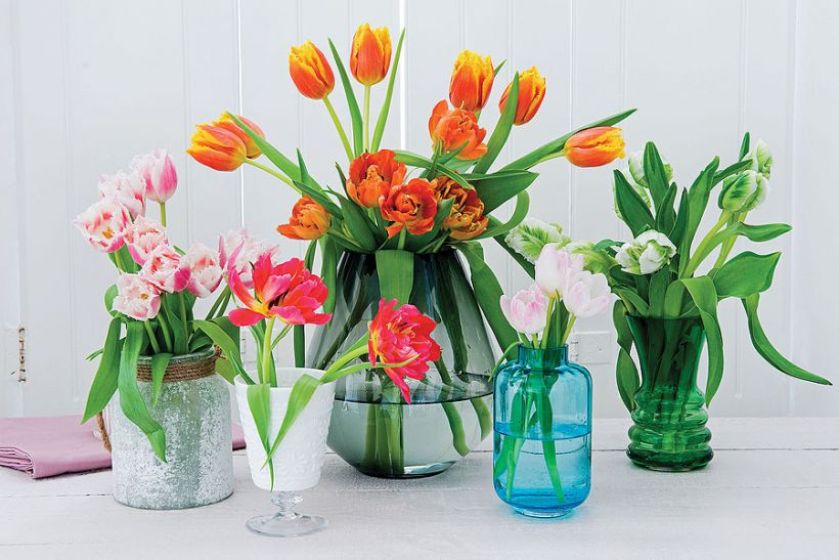 Greenery: Pantone kolor roku 2017