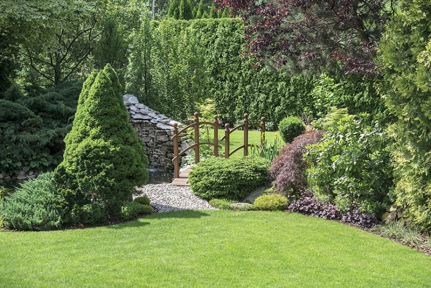 Hodowlane krwawniki, jeżówki, a tłem są, jak tutaj, żywopłoty grabowe i cisowe przypominające kaskady.