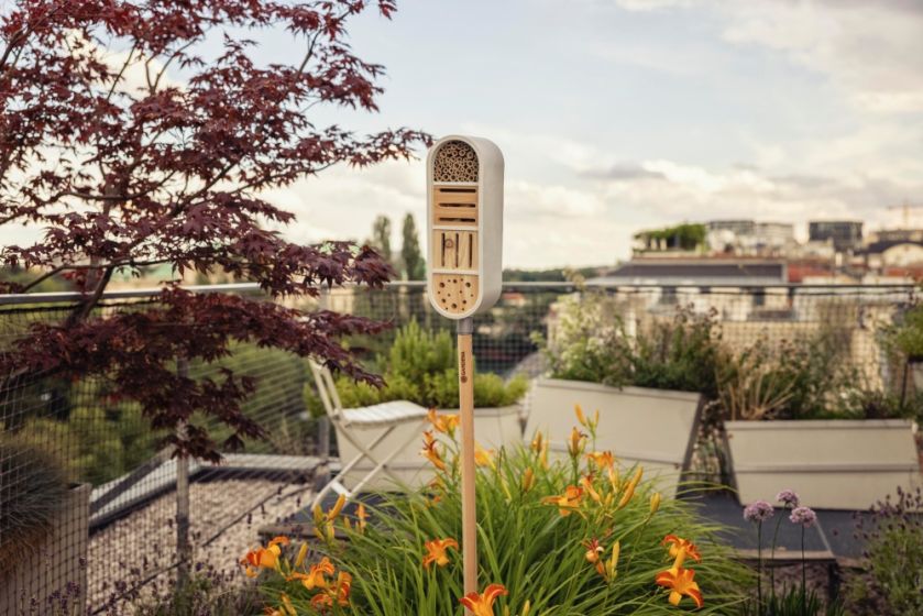 hotel dla owadów na balkon