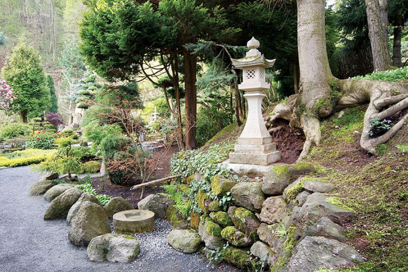 Japoński ogród niedaleko Kudowy-Zdrój. Najpiękniejsze drzewka bonsai w Polsce.