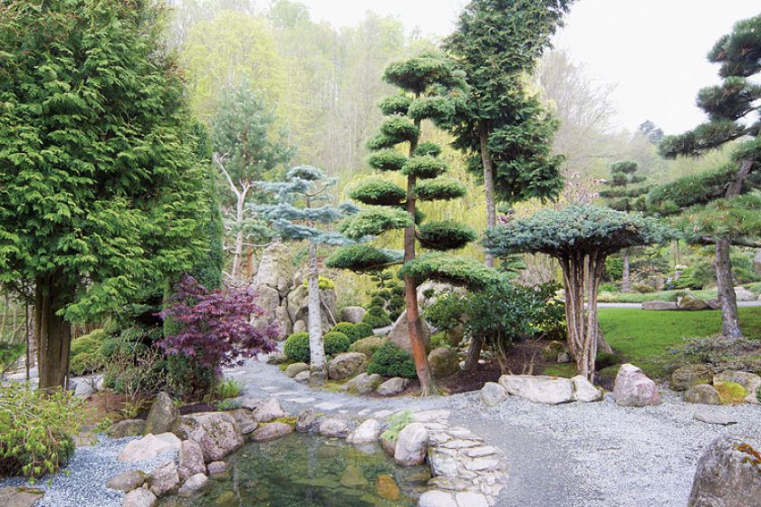 Japoński ogród niedaleko Kudowy-Zdrój. Najpiękniejsze drzewka bonsai w Polsce.