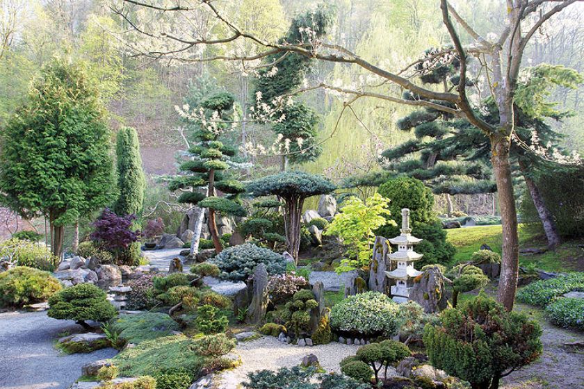 Japoński ogród niedaleko Kudowy-Zdrój. Najpiękniejsze drzewka bonsai w Polsce.