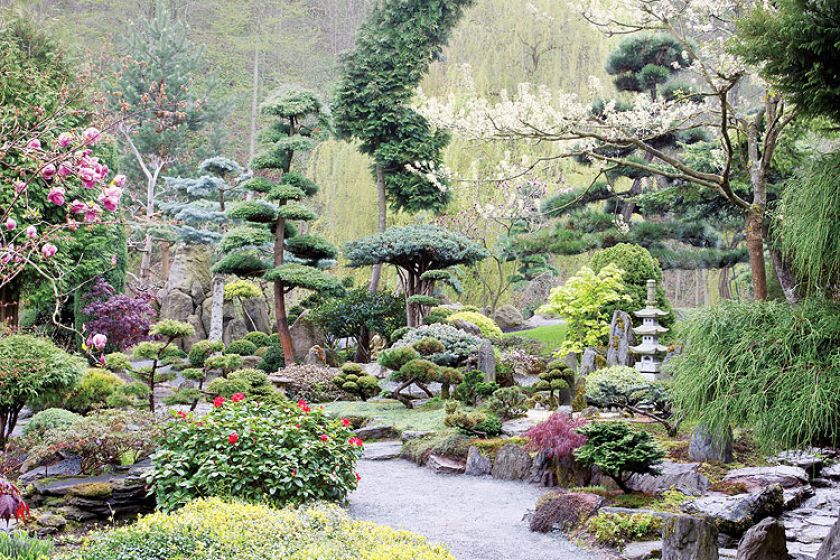 Japoński ogród niedaleko Kudowy-Zdrój. Najpiękniejsze drzewka bonsai w Polsce.