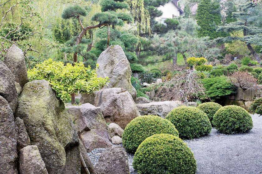 Japoński ogród niedaleko Kudowy-Zdrój. Najpiękniejsze drzewka bonsai w Polsce.