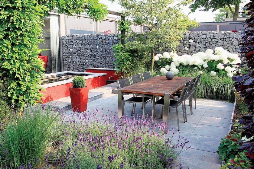 Kiedy na pergoli zakwita Glicynia, taras wygląda jak obrazek w fioletowej puchatej ramie.