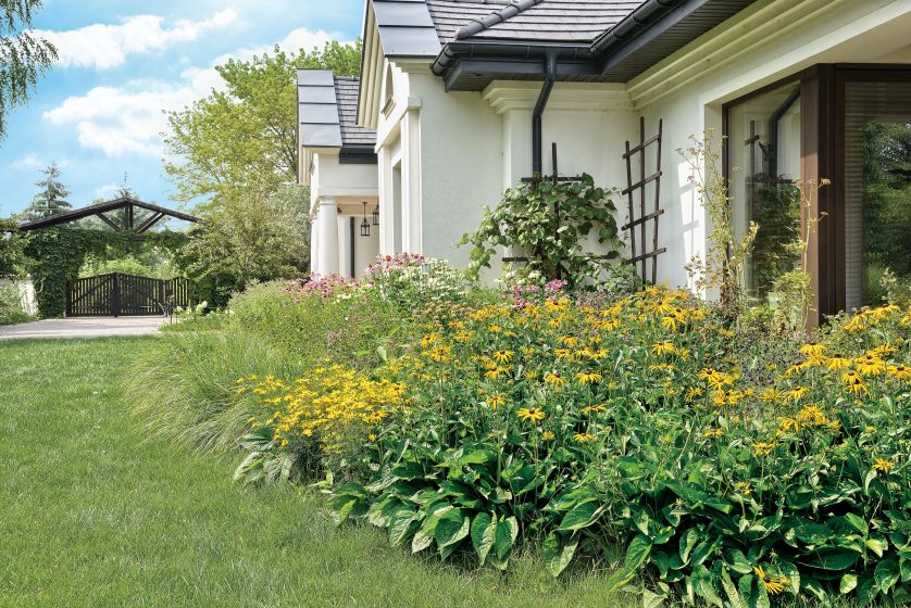 Koło tarasu projektanci zasadzili rudbekie, słoneczniki i kilka rodzajów traw.