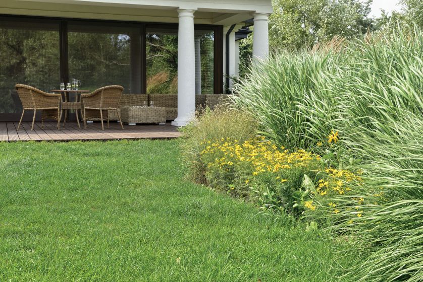 Koło tarasu projektanci zasadzili rudbekie, słoneczniki i kilka rodzajów traw.