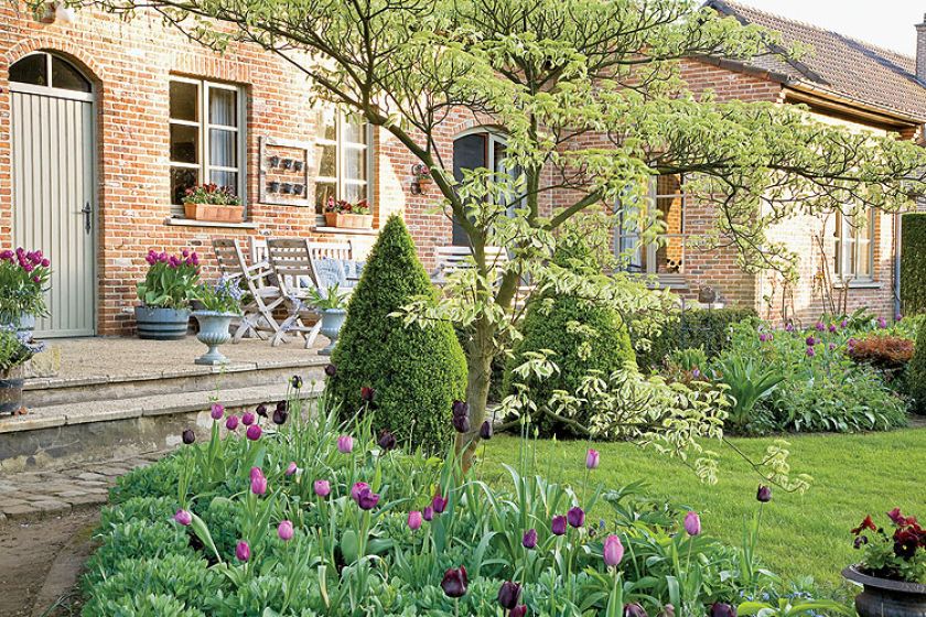 Kompozycje tulipany wśród bukszpanów. Ogród pełen nastrojowych zakątków.