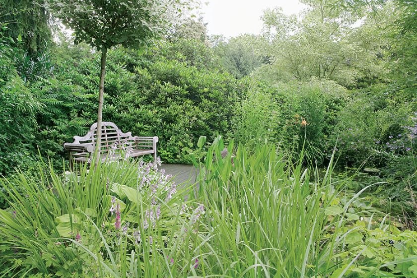Ławka ukryta wśród zieleni. Ogród w lesie