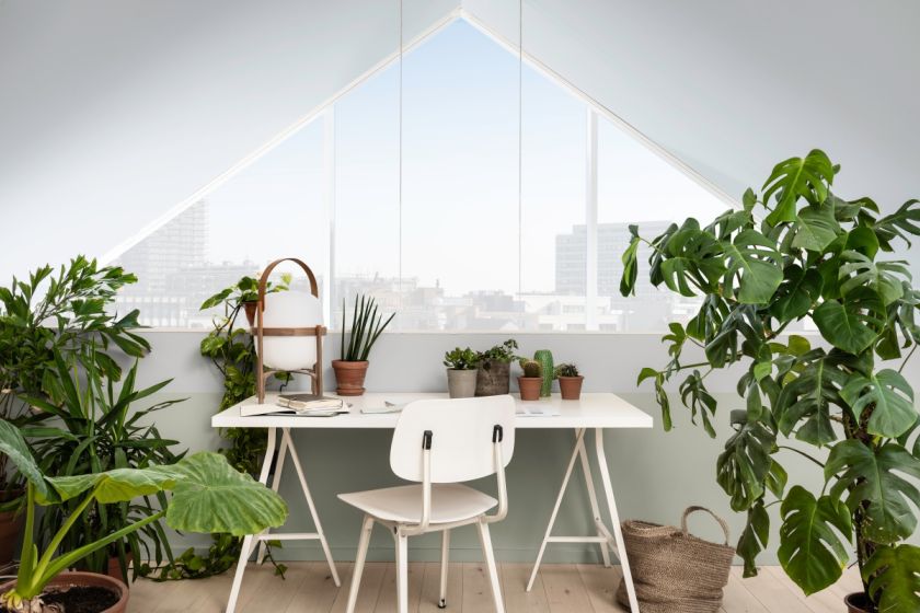 Połączenie stonowanych odcieni bieli i miętowej szarości