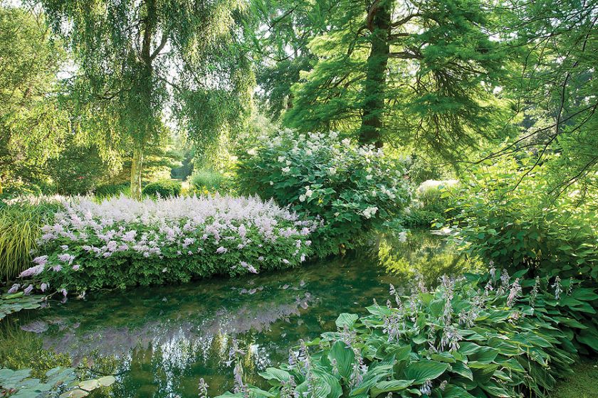 Na brzegach rośną tysiące różnokolorowych liliowców, paproci i traw.