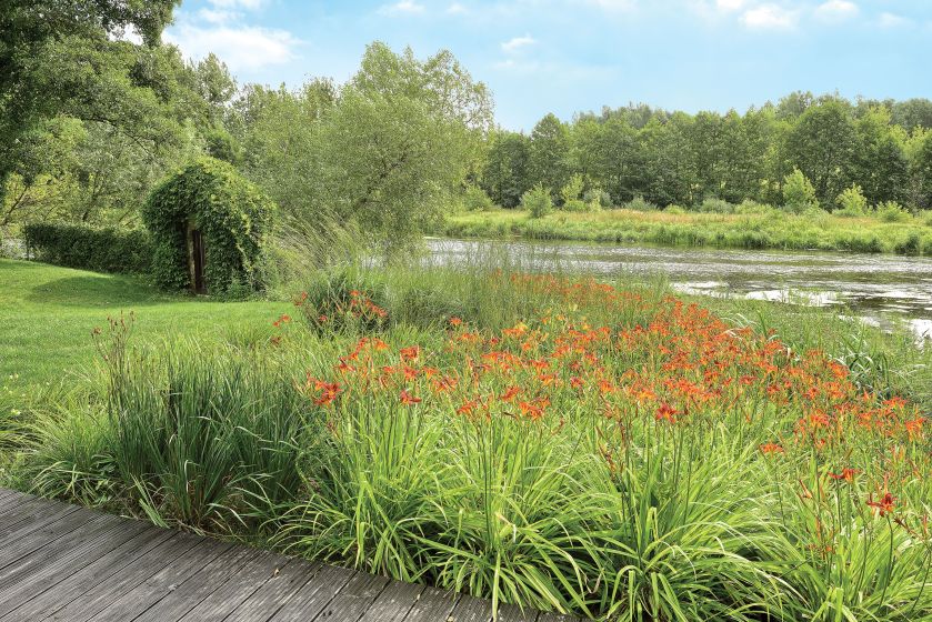 Nad rzekę spływa kaskada liliowców i irysów, która przechodzi w kwietną łąkę.