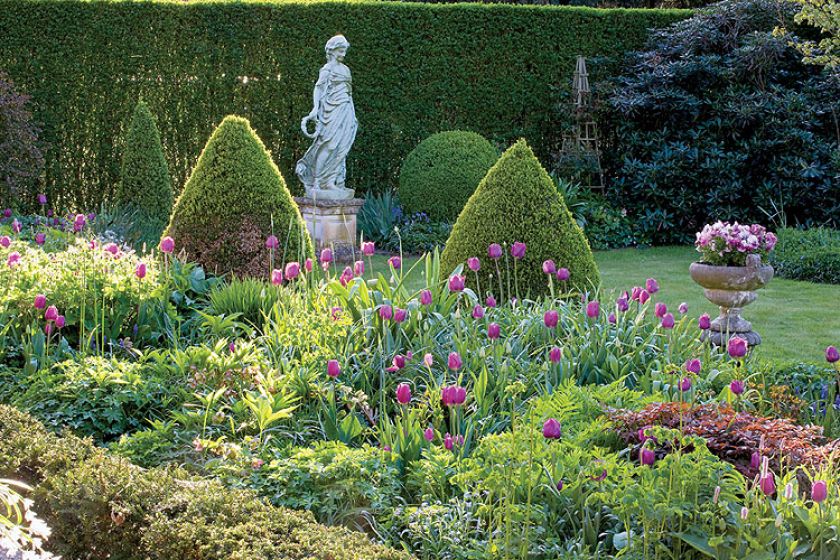 Nastrojwy zakątek. Tulipany wśród bukszpanów