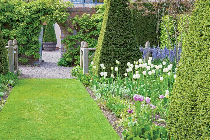 Tulipany, powojniki i szałwie między altanami