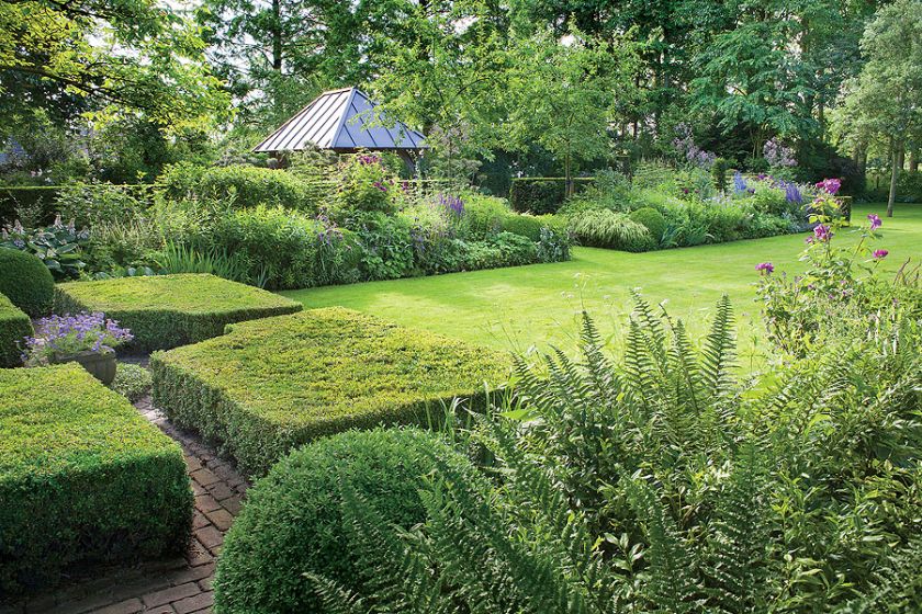 Dom z ogrodem pełnym wysokich drzew