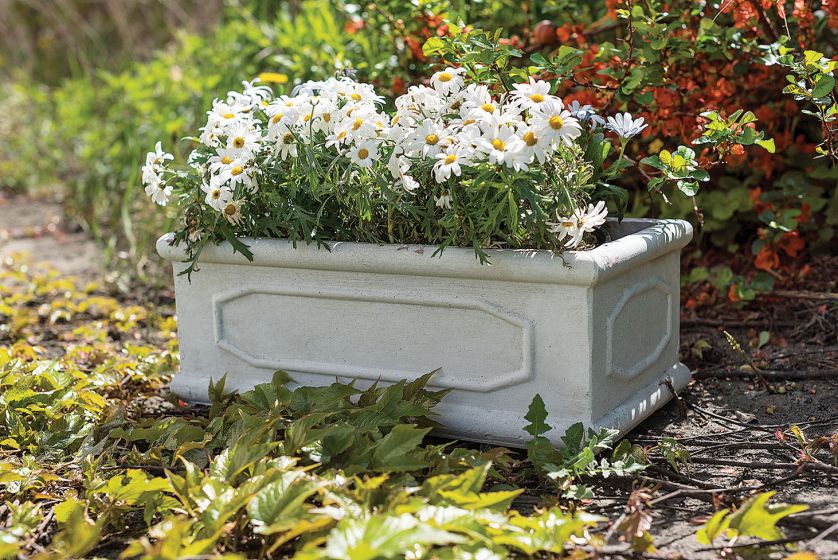 Postarzane korytko z przecierkami, Belldeco, od 116 zł, belldeco.pl