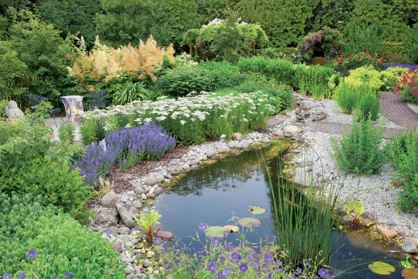 Oczko wśród klonów