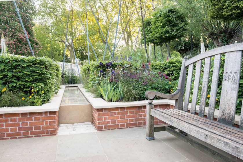 Oczko wśród klonów