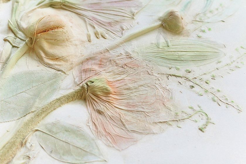 Romę Roman fascynuje eteryczne piękno kwiatów i ziół. Długo zastanawiała się, jak zatrzymać ich przemijanie.