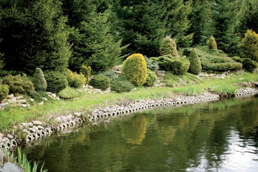 Ogród miłośnika ptaków. Ogród miłośnika ptaków