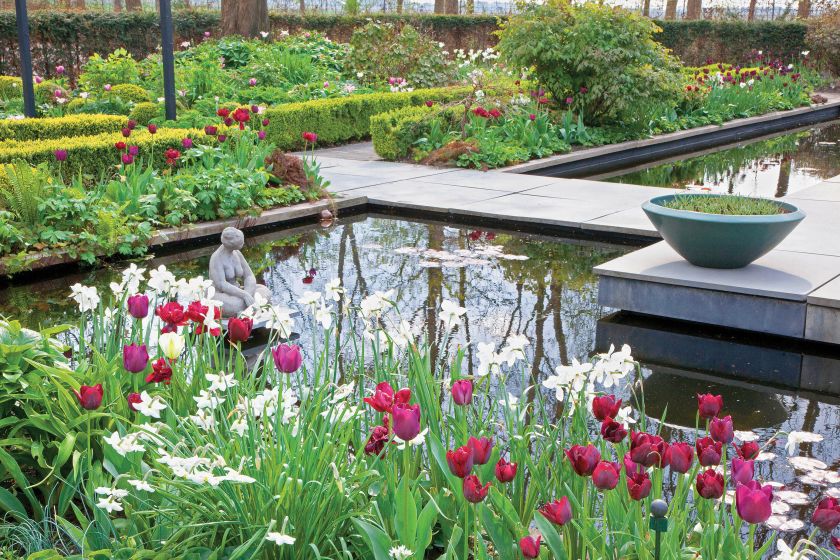 Wiosna nad stawem – ogród pełen tulipanów