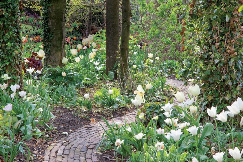 Ogród pośród pól pełnych tulipanów. Trochę tradycyjny i trochę nowoczesny, wyraźnie angielski i ciut holenderski.
