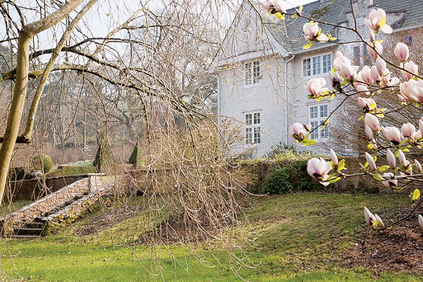 Ogród w Sherwood. Magnoliami wiosna się zaczyna