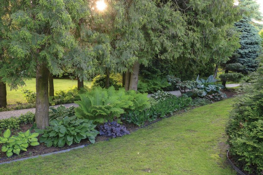 ogród ze starymi drzewami i zakątkami do odpoczywania