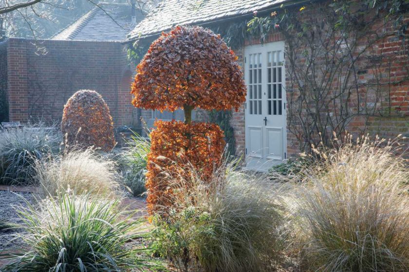 Zimowy ogród w hrabstwie Hertfordshire