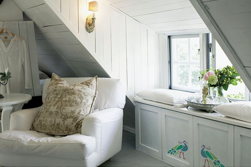 Płochliwy, krzykliwy, z wachlarzem bajecznych pi oacute r na ogonie i zawadiackim czubkiem na głowie. O tym,