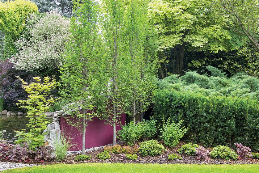 Lustra w ogrodzie pachnącym cukiernią