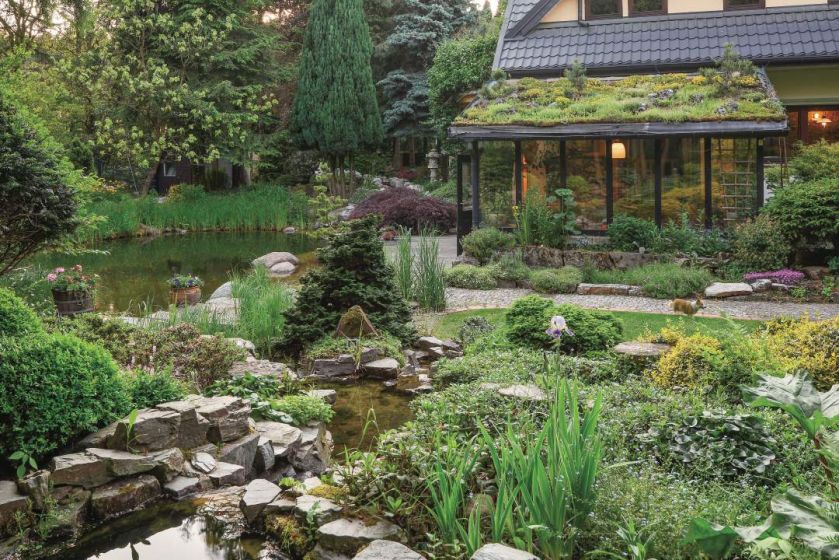 Ten ogród robi to, co chce: naturalnie zaaranżowany ogród blisko lasu